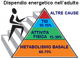 dispendio energetico